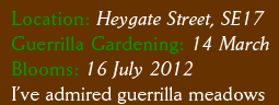 Location: Heygate Street, SE17 Guerrilla Gardening: 14 March Blooms: 16 July 2012 I’ve admired guerrilla meadows