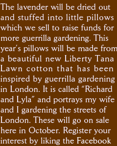 The lavender will be dried out and stuffed into little pillows which we sell to raise funds for  more guerrilla gardening. This  year’s pillows will be made from a beautiful new Liberty Tana Lawn cotton that has been inspired by guerrilla gardening  in London. It is called “Richard and Lyla” and portrays my wife and I gardening the streets of  London. These will go on sale here in October. Register your interest by liking the Facebook