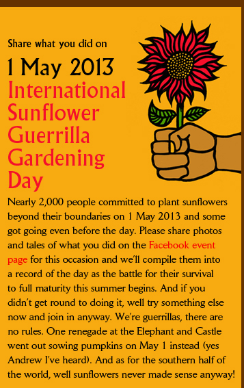   1 May 2013 International  Sunflower  Guerrilla  Gardening  Day Nearly 2,000 people committed to plant sunflowers beyond their boundaries on 1 May 2013 and some got going even before the day. Please share photos and tales of what you did on the Facebook event  page for this occasion and we’ll compile them into a record of the day as the battle for their survival to full maturity this summer begins. And if you  didn’t get round to doing it, well try something else now and join in anyway. We’re guerrillas, there are  no rules. One renegade at the Elephant and Castle went out sowing pumpkins on May 1 instead (yes  Andrew I’ve heard). And as for the southern half of  the world, well sunflowers never made sense anyway!  