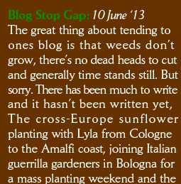Blog Stop Gap: 10 June ‘13 The great thing about tending to ones blog is that weeds don’t  grow, there’s no dead heads to cut and generally time stands still. But sorry. There has been much to write and it hasn’t been written yet, The cross-Europe sunflower planting with Lyla from Cologne  to the Amalfi coast, joining Italian guerrilla gardeners in Bologna for a mass planting weekend and the tour with Fante di Fiori around 