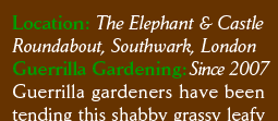 Guerrilla gardeners have been tending the Elephant and Castle