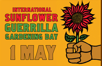 International Sunflower Guerrilla Gardening Day