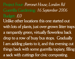 Unlike other locations this one started out 
with lots of plants, just over grown litter traps a rampantly green, virtually flowerless back drop to a row of busy bus stops.  Gradually I am adding plants to it, and this evening cut things back with some guerrilla topiary, filling a sack with cuttings for civic composting.