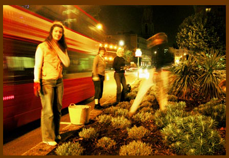 Project Nine & Ten: Westminster Bridge Rd
Guerrilla Gardening: Thursday 12 October, Meike Suggars the guerrilla gardener.