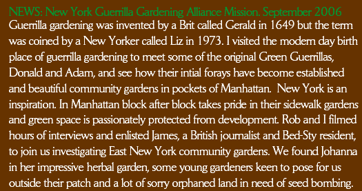Guerrilla gardening was invented by a Brit called Gerald in 1649 but the term was coined by a New Yorker called Liz in 1973. I visited the modern day birth place of guerrilla gardening to meet some of the original Green Guerrillas, Donald and Adam, and see how their intial forays have become established and beautiful community gardens in pockets of Manhattan.  New York is an inspiration. In Manhattan block after block takes pride in their sidewalk gardens and green space is passionately protected from development. Rob and I filmed hours of interviews and enlisted James, a British journalist and Bed-Sty resident, to join us investigating East New York community gardens. We found Johanna in her impressive herbal garden, some young gardeners keen to pose for us outside their patch and a lot of sorry orphaned land in need of seed bombing.