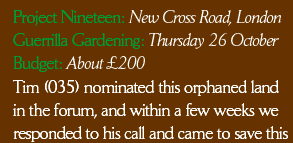Project Nineteen: New Cross Road, London. Guerrilla Gardening: Thursday 26 October. Budget: About £200. Tim (035) nominated this orphaned land in the forum, and within a few weeks we responded to his call and came to save this