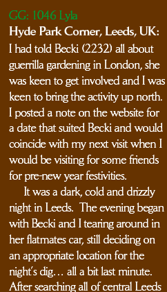 
I had told Becki (2232) all about guerrilla gardening in London, she was keen to get involved and I was
keen to bring the activity up north. I posted a note on the website for a date that suited Becki and would coincide with my next visit when I would be visiting for some friends for pre-new year festivities. It was a dark, cold and drizzly night in Leeds.  The evening began with Becki and I tearing around in her flatmates car, still deciding on an appropriate location for the night’s dig… all a bit last minute. After searching all of central Leeds