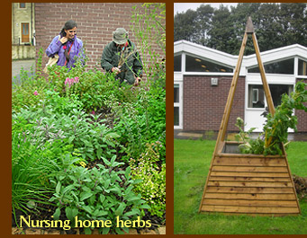 Nursing home herbs