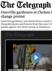 Telegraph guerrilla film