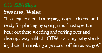 GG: 2286 Skye Swansea, Wales: It's a big area but I'm hoping to get it cleared and ready for planting by springtime.  I just spent an hour out there weeding and forking over and clearing away rubbish. (BTW that's my baby standing there... I'm making a gardener of him as we go).