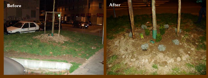 A stylish transformation of public space in Milan by Angela and her guerrilla gardening friends