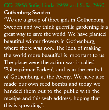 GG: 2958 Sofie, Linda 2959 and Sofia 2960 Gothenberg Sweden “We are a group of three girls in Gothenburg, Sweden and we think guerrilla gardening is a great way to save the world. We have planted beautiful winter flowers in Gothenburg, where there was non. The idea of making the world more beautiful is important to us. The place were the action was is called 'Bältespännar Parken', and is in the central of Gothenburg, at the Aveny. We have also made our own seed bombs and today we handed them out to the public with the receipe and this web address, hoping that this is spreading”.