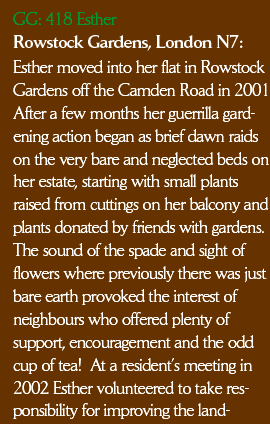 Esther moved into her flat in Rowstock
Gardens off the Camden Road in 2001. After a few months her guerrilla gardening action began as brief dawn raids 
on the very bare and neglected beds on her estate, starting with small plants raised from cuttings on her balcony and plants donated by friends with gardens. The sound of the spade and sight of flowers where previously there was just bare earth provoked the interest of neighbours who offered plenty of support, encouragement and the odd cup of tea!  At a resident’s meeting in 2002 Esther volunteered to take responsibility for improving the land-