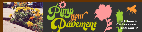 Pimp Your Pavement