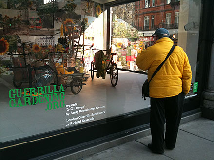 The Guerrilla Gardening Transport range in the Selfrdiges window