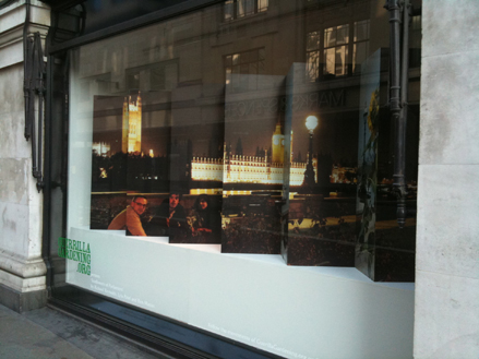 Guerrilla sunflowers of parliament in Selfridges