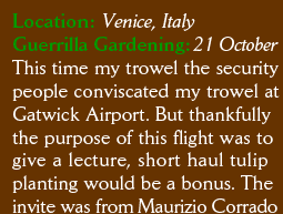Location: Venice, Italy Guerrilla Gardening: 21 October This time my trowel the security people conviscated my trowel at Gatwick Airport. But thankfully the purpose of this flight was to give a lecture, short haul tulip planting would be a bonus. The  invite was from Maurizio Corrado