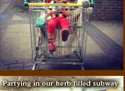 Shopping Trolley for guerrilla gardening
