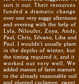 sort it out. Their resources funded a dramatic change over one very soggy afternoon and evening with the help of Lyla, Niloufer, Zoya, Andy, Paul, Chris, Silvano, Liba and Paul. I wouldn�t usually plant in the depths of winter, but the timing required it, and it worked out very well. We added masses of farm manure to the already reasonable soil and planted cyclamen, sweet