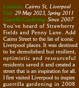 Location: Cairns St, Liverpool. Visit: 29 May 2023, Spring 2011. Guerrilla Gardening:  Since 2007. Youve heard of Strawberry Fields and Penny Lane. Add Cairns Street to the list of iconic Liverpool places. It was destined
to be demolished but resilient, optimistic and resourceful residents saved it and created a street that is an inspiration for all. I first visited Liverpool to inspire guerrilla gardening in 2008 