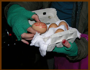 Explosive Eggs seed bombs for guerrilla gardening
