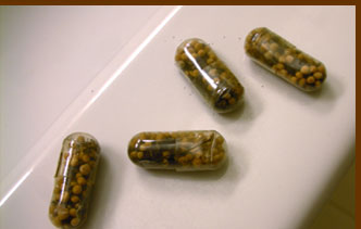 Seed Pill